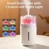 H02_Humidifier_w_Flower