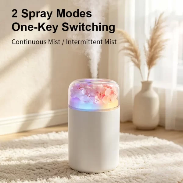 H06 humidifier (10)
