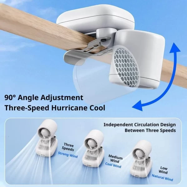 N616_fan_(6)